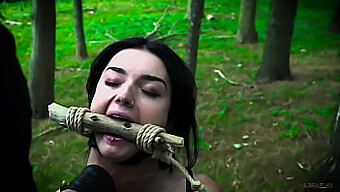 Seksikäs Alistuva Nainen Saa Karkea Koira Tyyli Vitun Ja Selkäsauna Vuonna Bdsm Video, Päättyy Kasvojen Ja Nieleminen