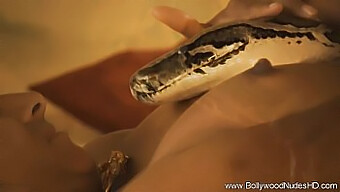 Sinnlich Asian Milf Strips Down To Her Sacred Snake