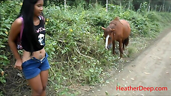 Pisse Ved Siden Af En Hest I Junglen - High Definition Video